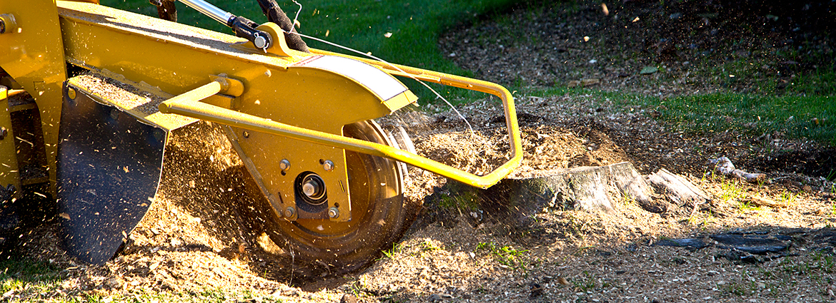 MO Stump Removal